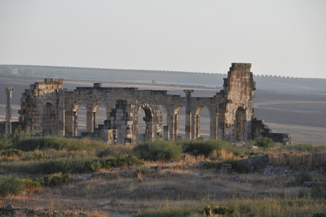 Romeinse ruine in Volubilis, Marokko