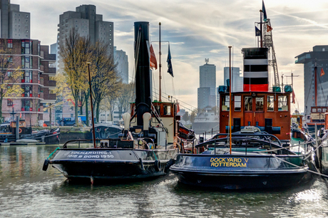 Haven Rotterdam