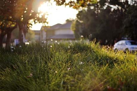 Namiddag zon door de straat