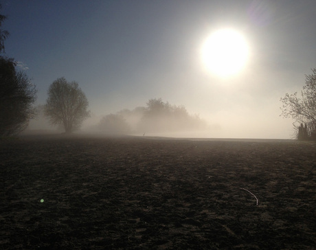 Zonsopgang met mist