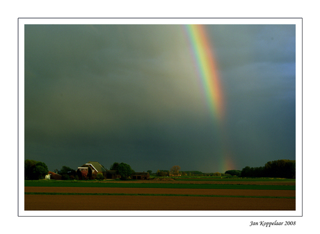 Biesbosch