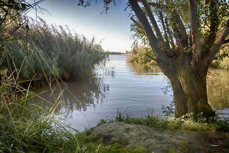 Herfst langs de Merwede