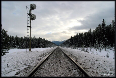 Ook winter in Canada