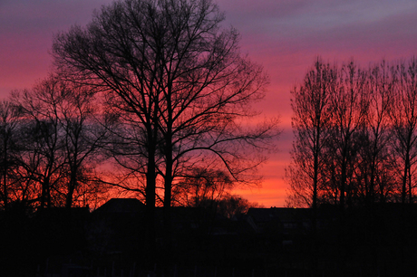 Avondrood