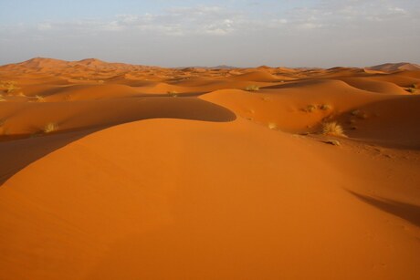 sahara in zuidmarokko