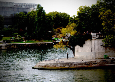 Duifjes aan de Seine