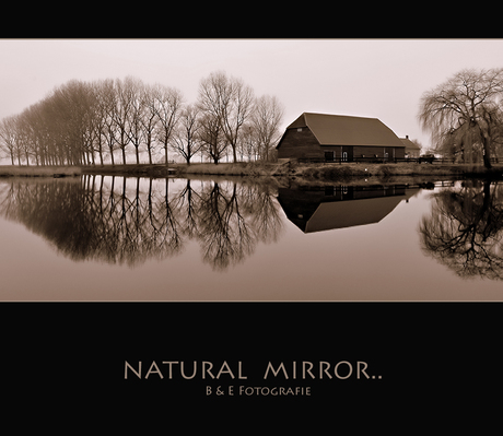 Natural Mirror...