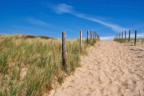 Duinen