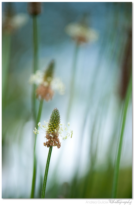 Waiting for the rain
