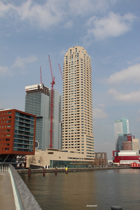 Zicht op de Kop van Zuid R'dam...