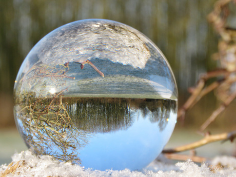 Glazenbal in de sneeuw