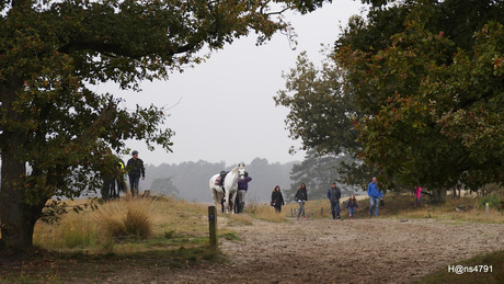 Drunense duinen