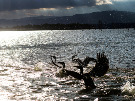 Lake Amboselli, Kenia