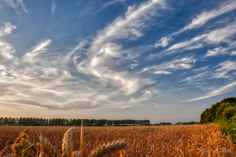 Wolken slang