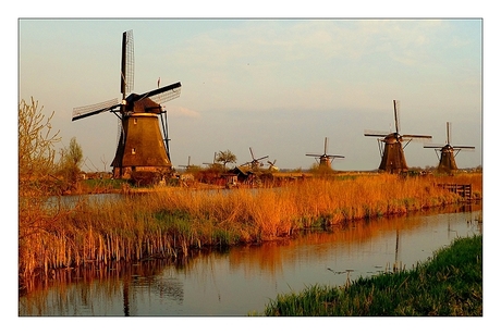 Kinderdijk