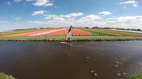 windsurfing with foil in a ditch near the tulip fields