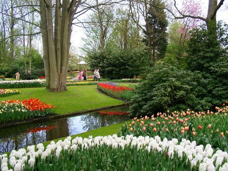 keukenhof2.jpg