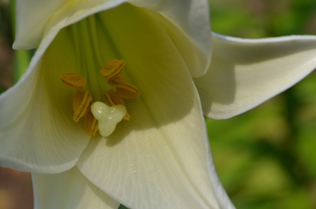 Floriade Venlo