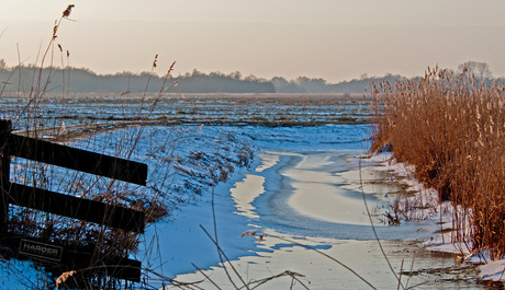 brrrrrr koud landschap