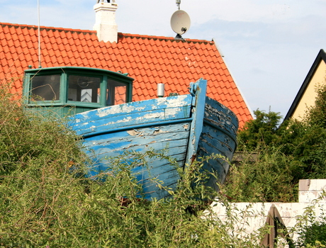 Scheepje op het droge