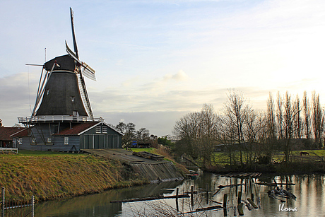 Molen