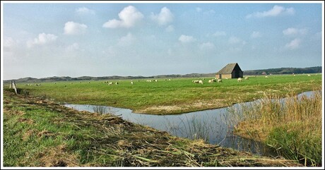 Texels Landschap