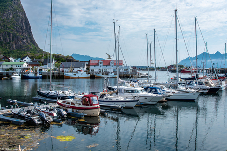 Svolvaer jachthaven - Lofoten, Noorwegen