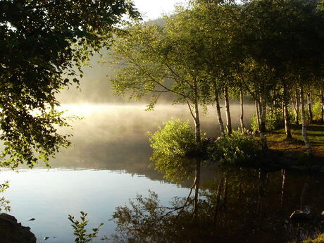 Titisee in de morgen