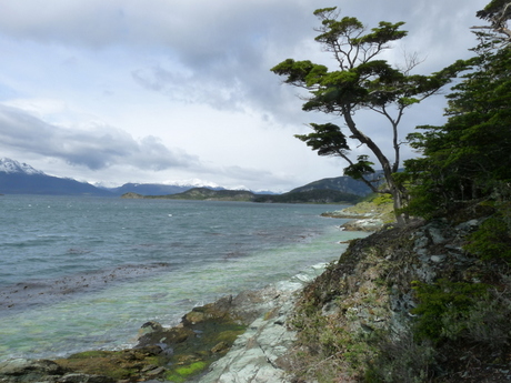 National park Tierra del Fuego