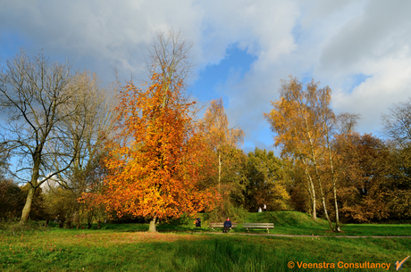 Herfst