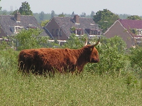 Oud en Nieuw