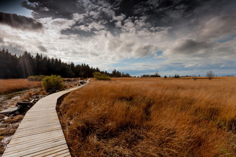 Keepwalking before the rain falls