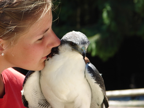 dieren liefde