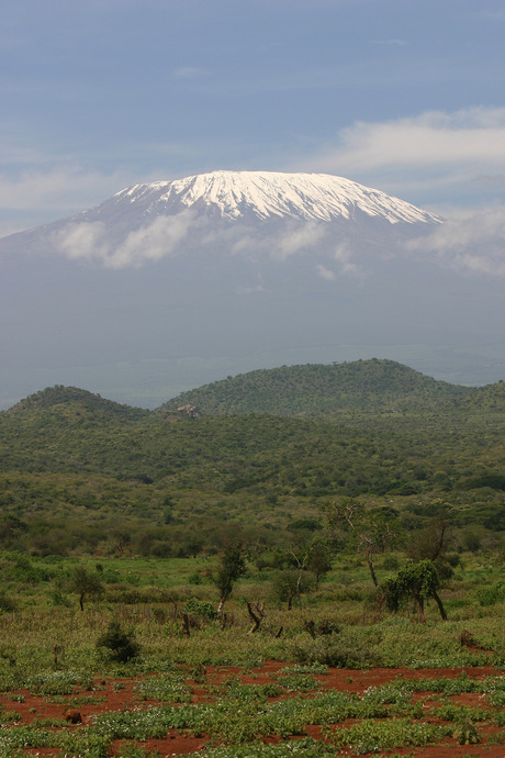 kilimanjaro