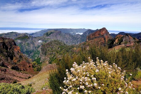 Pico do Arieiro