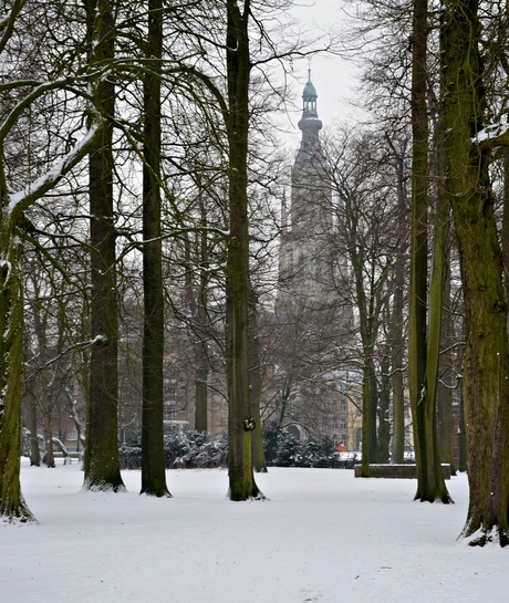 grote kerk breda in de sneeuw.JPG