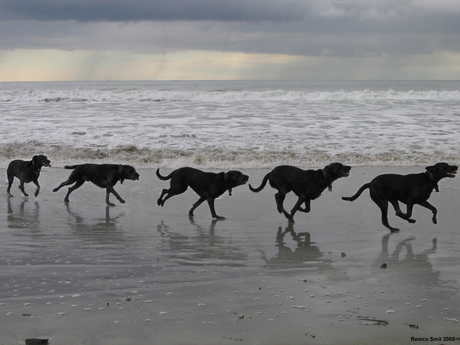 Day at the beach