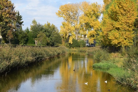 Buurtkanaal