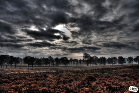 De hoge veluwe 2