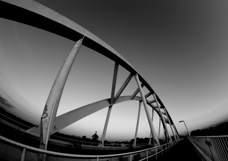 Bridge fisheye