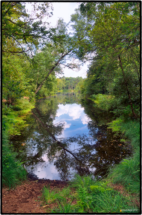 Oisterwijkse Vennen