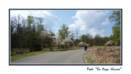 De Hoge Veluwe