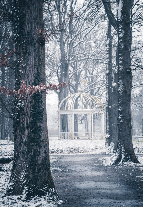 Winter in het park.