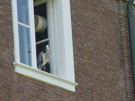 Waar blijven ze nou?