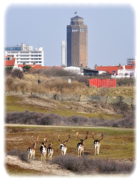 We gaan naar Zandvoort toe..