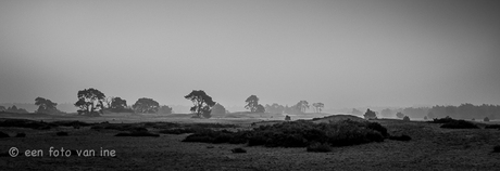 De Hoge Veluwe