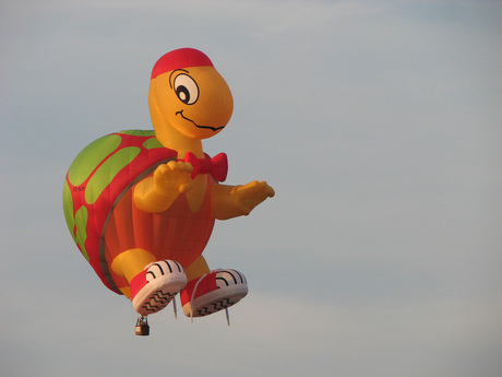 schildpad luchtballon