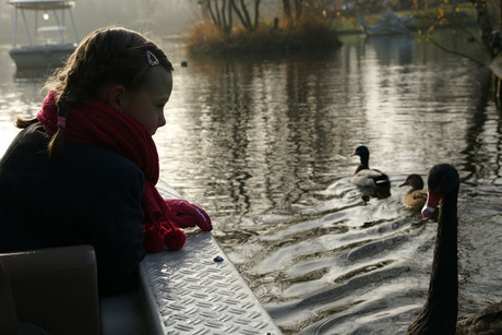 Bootje varen