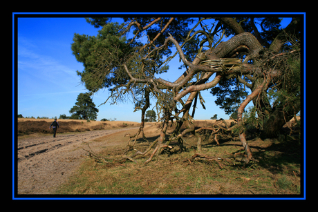 Roosendaalse Veld 1