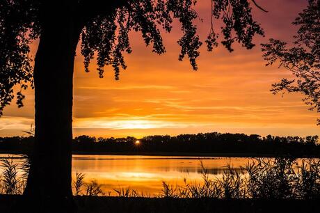 Zonsondergang, Lisse